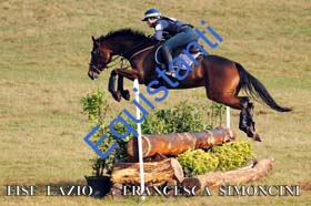 249 FRANCESCA SIMONCINI