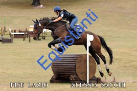 251 ALESSIA SACCHI
