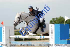 259 MAURIZIA DE MICHELI POMPONI