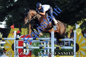 262 ANTONIO SANFELICE