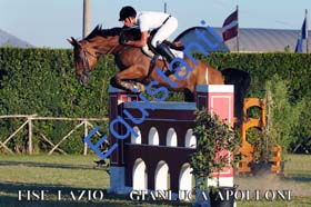 264 GIANLUCA APOLLONI