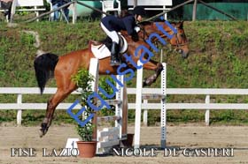 274 NICOLE DE GASPERI