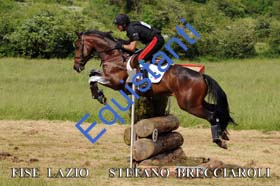 310 STEFANO BRECCIAROLI