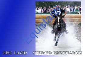 311 STEFANO BRECCCIAROLI