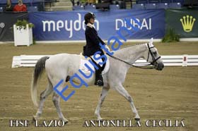 316 antonella cecilia 3