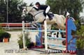 276 MARTINA FATI