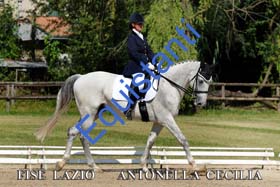 350 ANTONELLA CECILIA