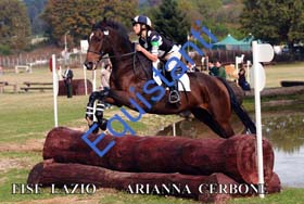 403 ARIANNA CERBONE