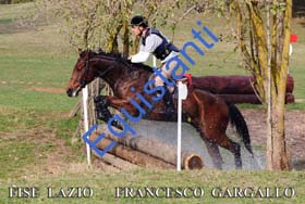 406 GARGALLO FRANCESCO