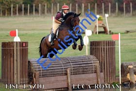 431 LUCA ROMAN