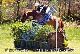 439 EMILIA SAMMARCO