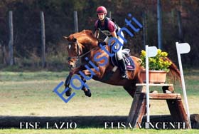 444 ELISA VINCENTI