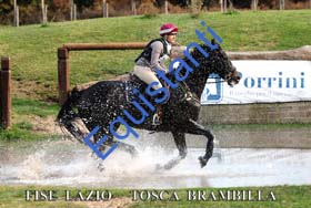 451 TOSCA BRAMBILLA