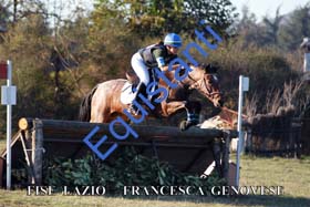 517 FRANCESCA GENOVESE