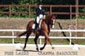 305 GIANNA BAIOCCHI