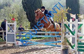 DSCF8668