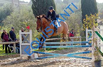 DSCF8675