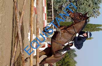 DSCF8770