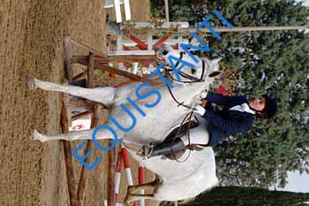 DSCF8549