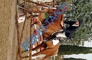 DSCF8562