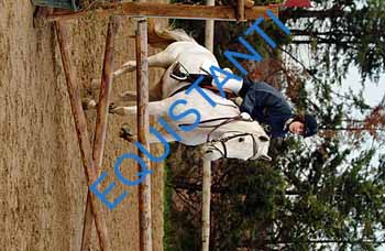 DSCF8570