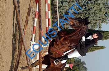 DSCF8625