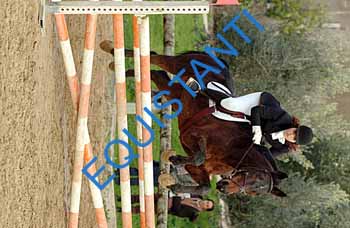 DSCF8694