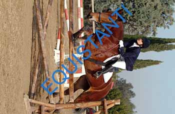 DSCF8697